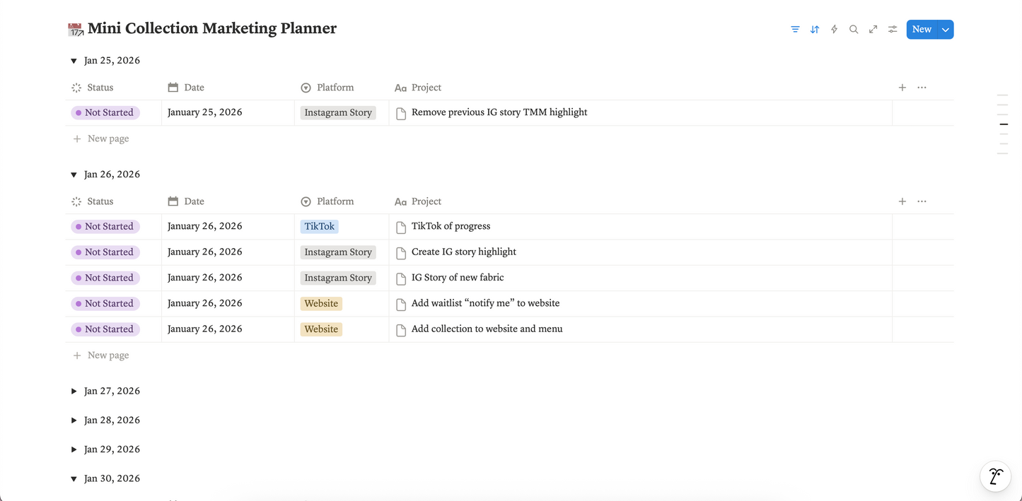 Notion Launch Planner Digital Template for Small Business