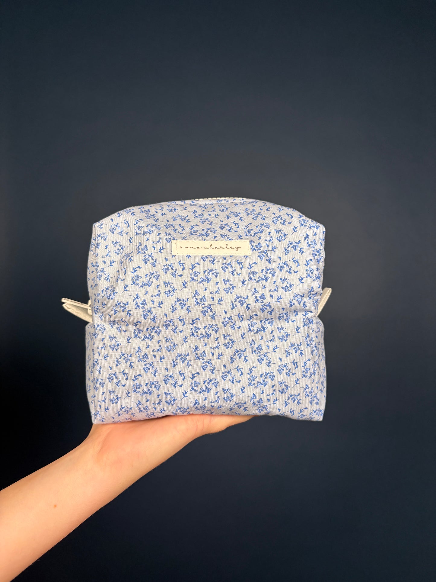 Charlotte Medium Makeup Bag *limited-edition*