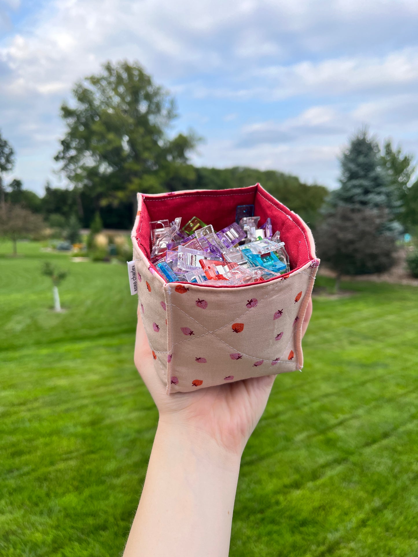 The Strawberry with Maroon Square Fabric Bowl Organizer *limited-edition*