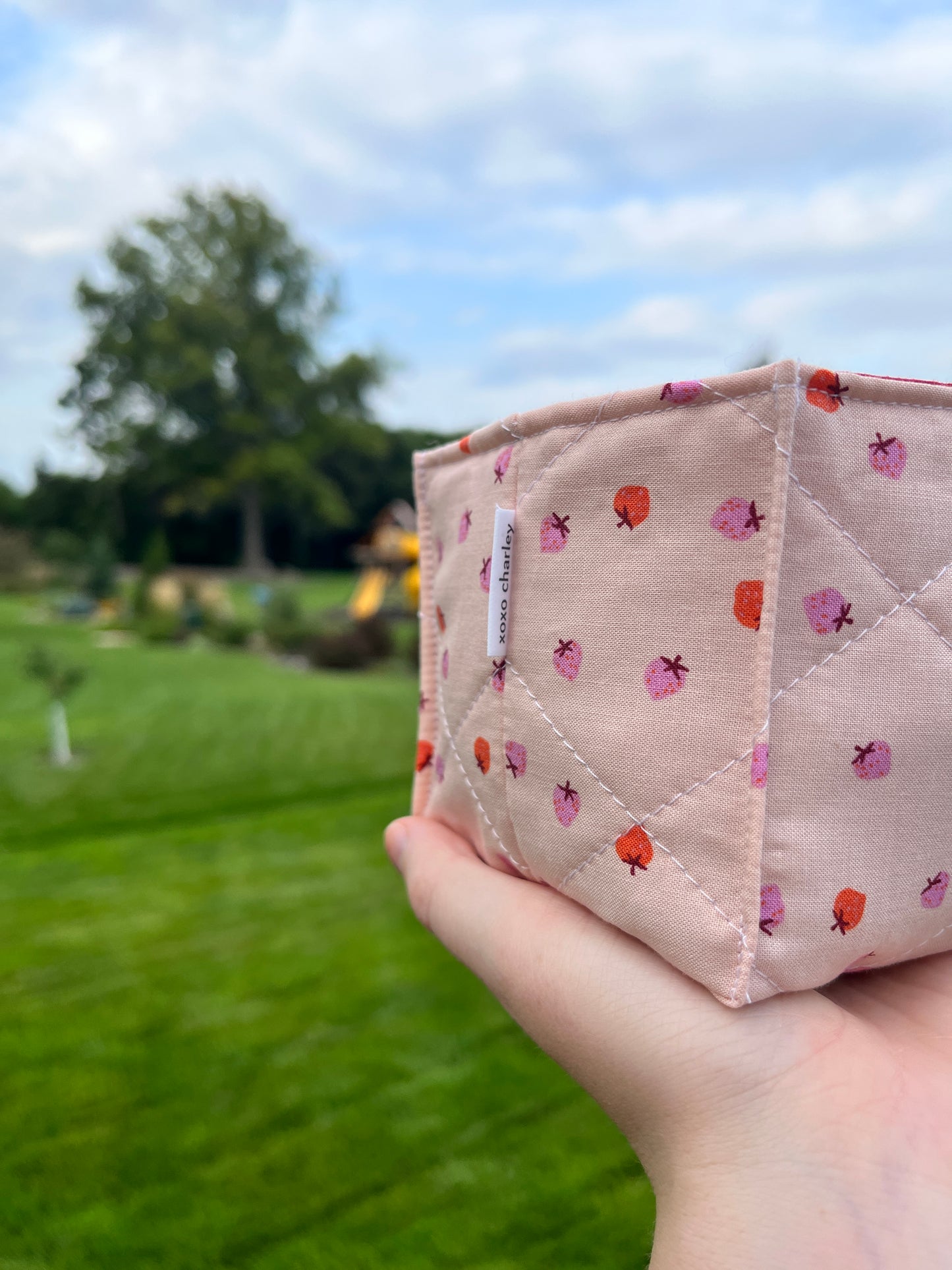 The Strawberry with Maroon Square Fabric Bowl Organizer *limited-edition*