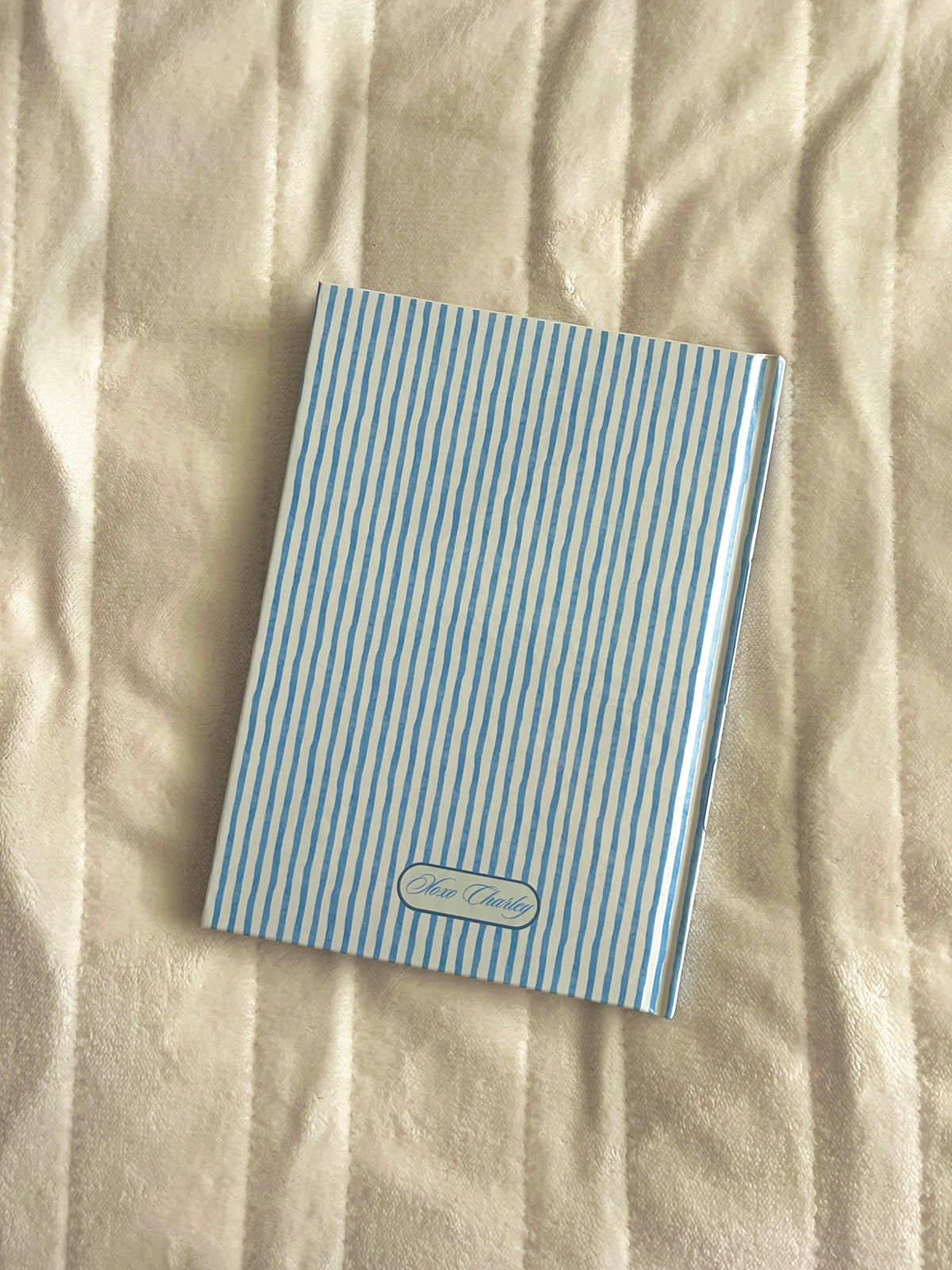 Blue striped journal back cover with a small 'hot girls read books' badge