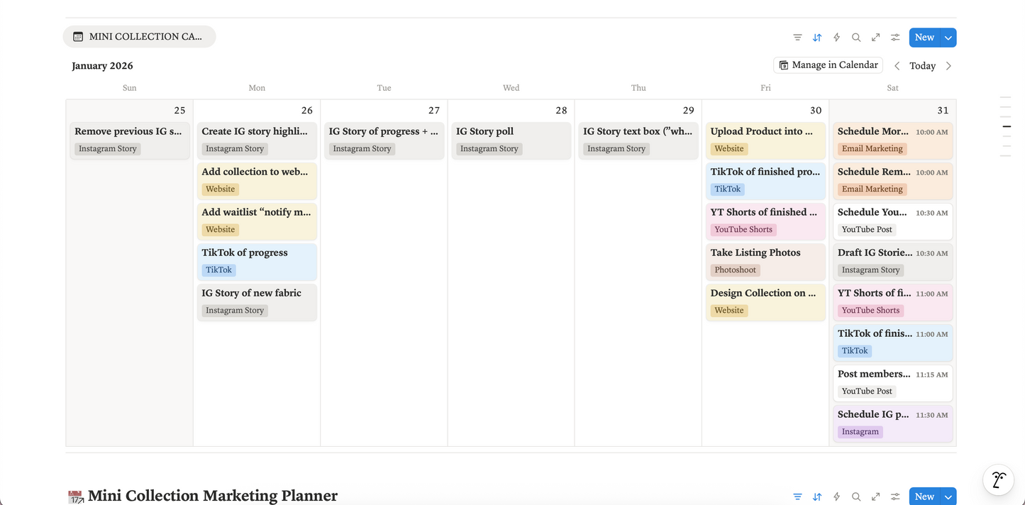 Notion Launch Planner Digital Template for Small Business